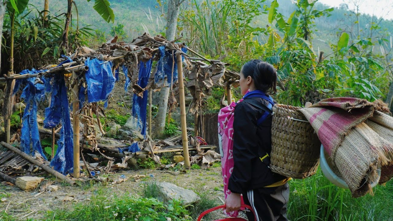 Бедная мать-одиночка отремонтировала заброшенный дом и начала новую жизнь с нуля.
