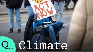 U.K. Teenage Activist Ready to Fight Government on Climate Change