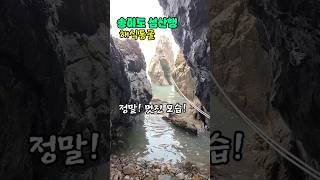 하얀 조약돌이 노래하는 섬, 영광 송이도 1분 요약 산행 🌊⛰️