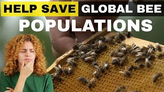 UNCOVER The Science Behind Urban Beekeeping: How Urban Beekeeping Helps Save Global Bee Populations