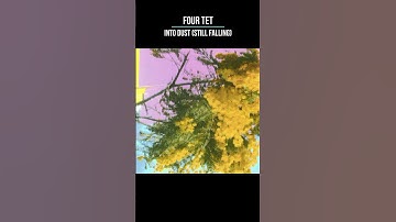 Thumbnail of Four Tet — Into Dust (Still Falling) #music #newsong #fourtet