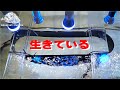 おはようございます
