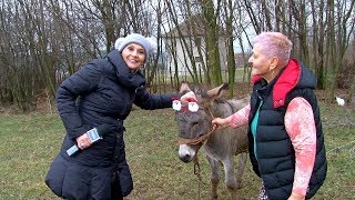 Deda Mraz Nije Zaboravio Ni Magarca Miška