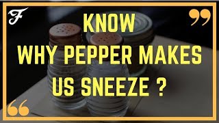 WHY DOES PEPPER MAKES US SNEEZE |FUNMENT|