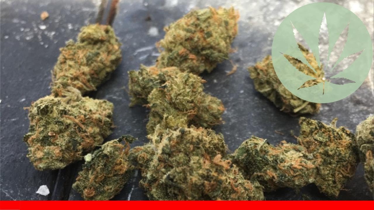 Ice Queen - All About This Strain