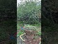 May 5 2026 