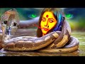 নাগিন | Naga Bala | Nagin Natak | New Bangla Natok 2023 | Bangla Natok 2024 | Superhit Horror Serial