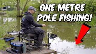 Catch LOADS Of Fish With JUST One Metre Of Pole! | THE SHORT SHORT POLE