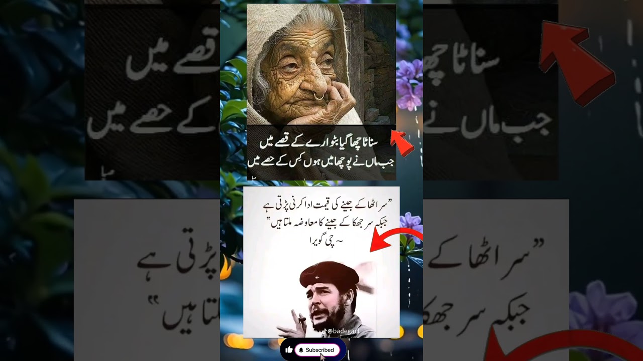 amazing words 💞 great quotes 