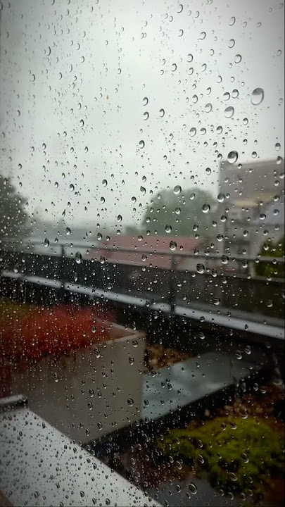 لحن اغنية بأمارة مين - فريد (موسيقى)