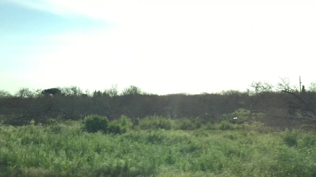 Possible Tornado/Storm Damage In Yuba City From Past Storms This Rain Season 537pm April 9