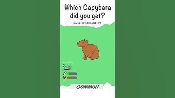 Which Capybara did you get?👀 #procreate #digitalart #animation #shorts #capybara #funny