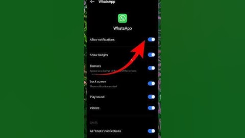 Fix the issue of Whatsapp notifications not appearing on your screen #whatsapp #notifications