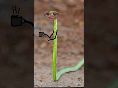  تعالو نشرب قهوة