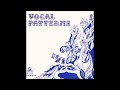 Vocal patterns   02