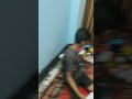 🎉 কাস্টমার খুশি! Mini Drone পেয়ে যা বললো শুনলে অবাক হবেন!#CustomerFeedback #khalilgadgetgallery