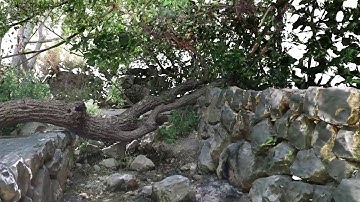 3D Model - Eden, Lifta, Jerusalem