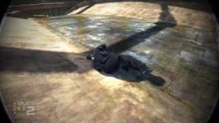 Skate 2 - Big Black Bug
