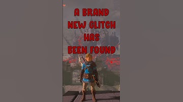 a brand new duplication glitch was just found! 🤯 #nintendo #zelda #zeldatearsofthekingdom