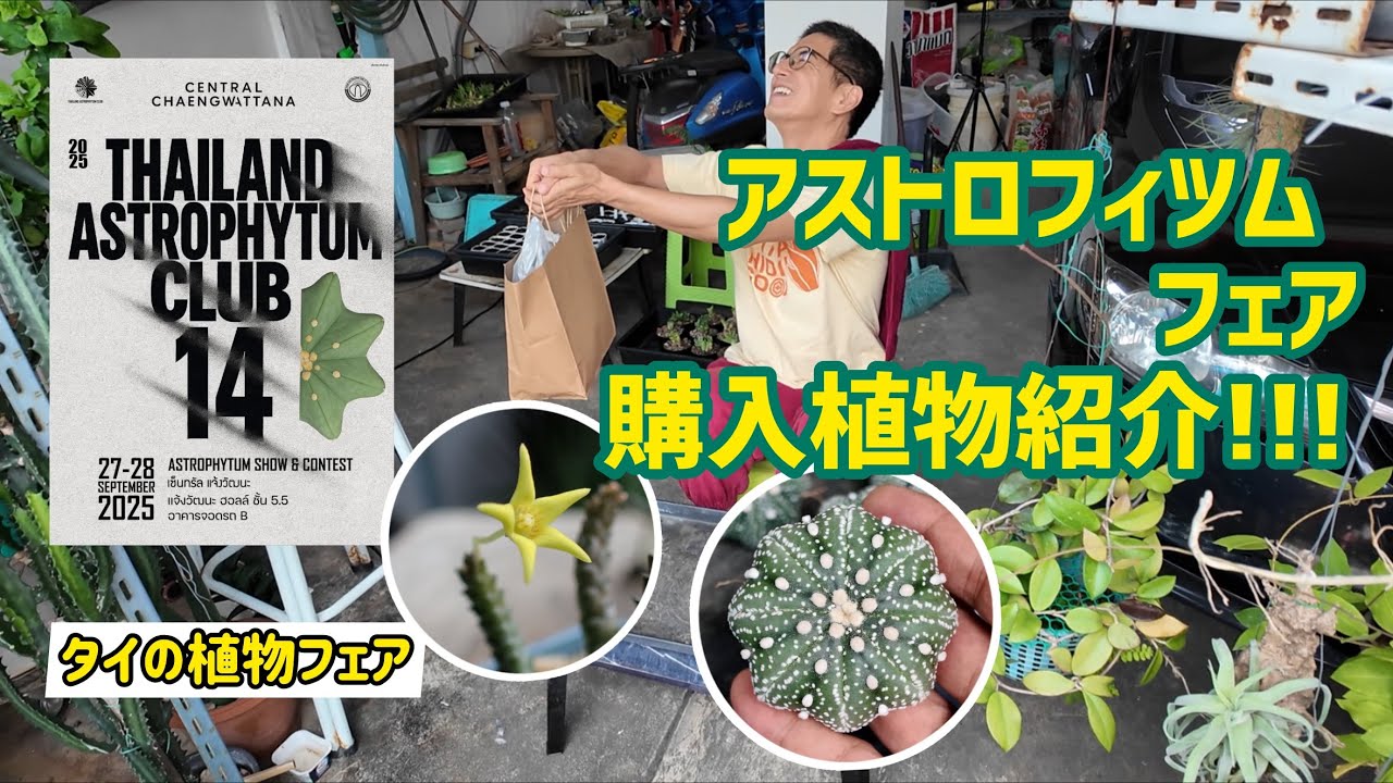 【タイの植物フェア】アストロフィツム ショー＆コンテスト！！購入植物紹介！！