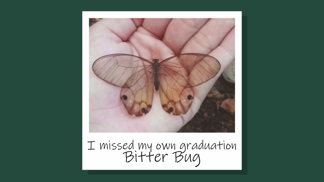 I missed my own graduation - Bitter Bug (original speed)