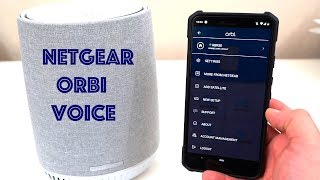 orbi voice google assistant