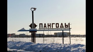 Видео Глава поселка Пангоды ответил на злободневные вопросы о режиме карантина (автор: Вести Ямал)
