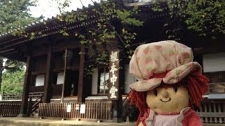 Send Your Toys around the World with Japan’s Stuffed Animal Travel Agency