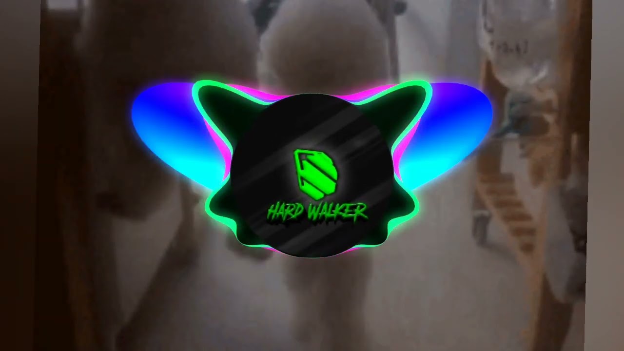 Hard Walker - Sasha Dog's