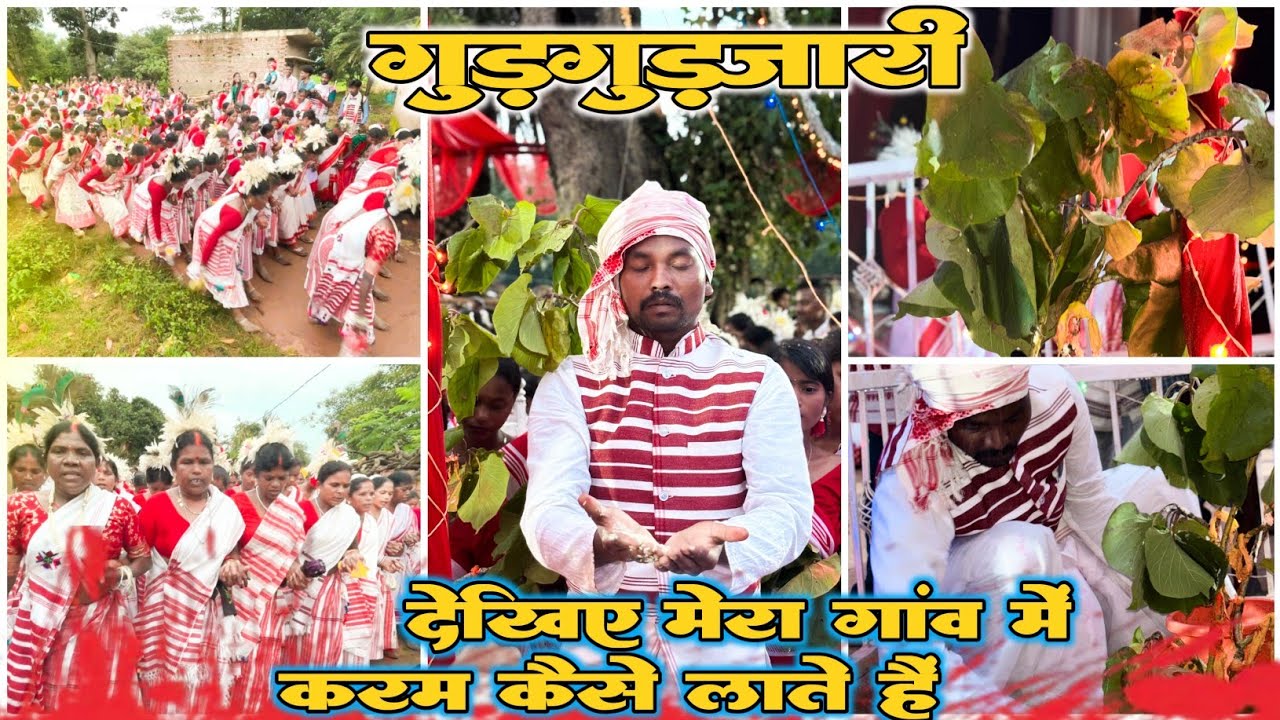 करम लाते समय। देखिए कैसे नाचते हैं। गुड़गुड़जारी।। GURGURJARI KARMA LATE SAMAY . #karma #gurgurjari 