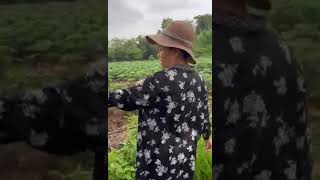 เศรษฐกจพอเพยงเศรษฐกจเรยนร