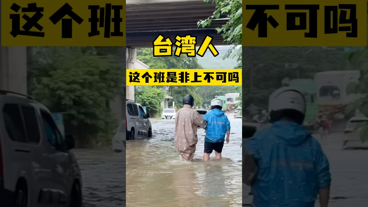 不是…我说台湾人这个班是非上不可吗⁉️#台灣 #台灣人 #台灣生活 #鬆弛感 #熱門#搞笑 #台灣旅遊#大陸人在台灣 #記錄真實生活 #大熱門 #台灣日常#搞笑视频 #記錄生活 #淹水 #颱風天#大雨 縮圖