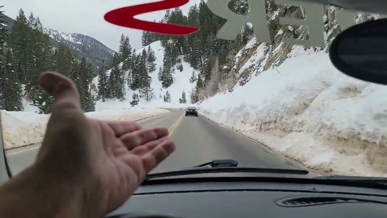 LiveGood Training - Update Review 2023 with Utah Snow Report