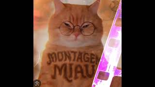 Lenar Montagem Miau