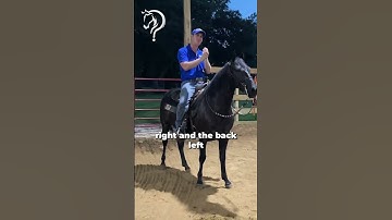 Quick Tips On How To Three Track Like A Pro! Part 1! | The Horse Guru - Michael Gascon