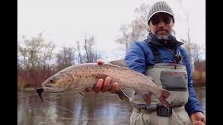 картинка: Ловля ленка нахлыстом