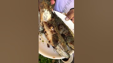 Cá lóc nướng rơm #shorts