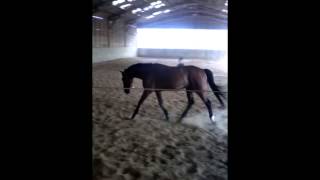Opéra test longe 12082015
