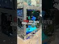 Best room for submerged computer cooling setup #shorts