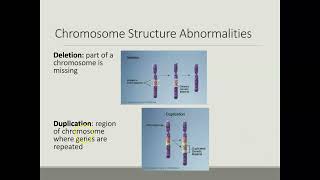 Bio 105 Chromosome Abnormalities