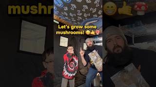 Let’s grow some mushrooms! Mush love! 😁🤙🍄 #mycologist #lionsmane #mycology #mushroom #fungi #fun