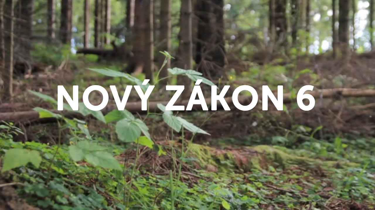 BIBLIA | NOVÝ ZÁKON 6