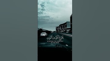 القران الكريم راحة نفسية #القرآن_الكريم #تلاوات #راحة_نفسية