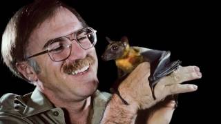Citizen Scientists: In Search of Bats