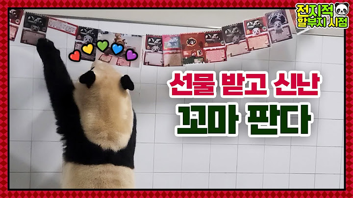 (SUB) Baby Panda Happy With Receiving Greeting Card At The End Of The Year│Panda Family🐼