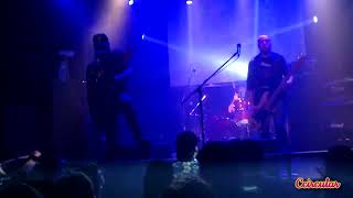 Buffalo - Dormido al volante