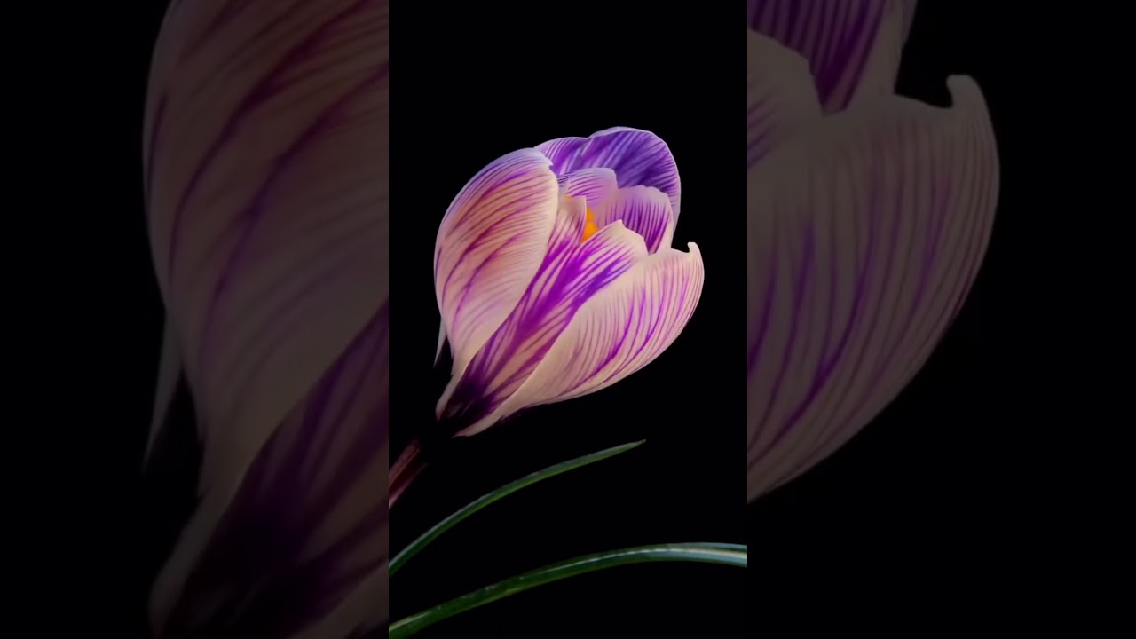 Friends Power 💸 😎