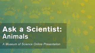 Ask a Scientist: All About Animals
