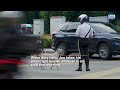 Jon the traffic dog: KL's most dedicated four-legged officer