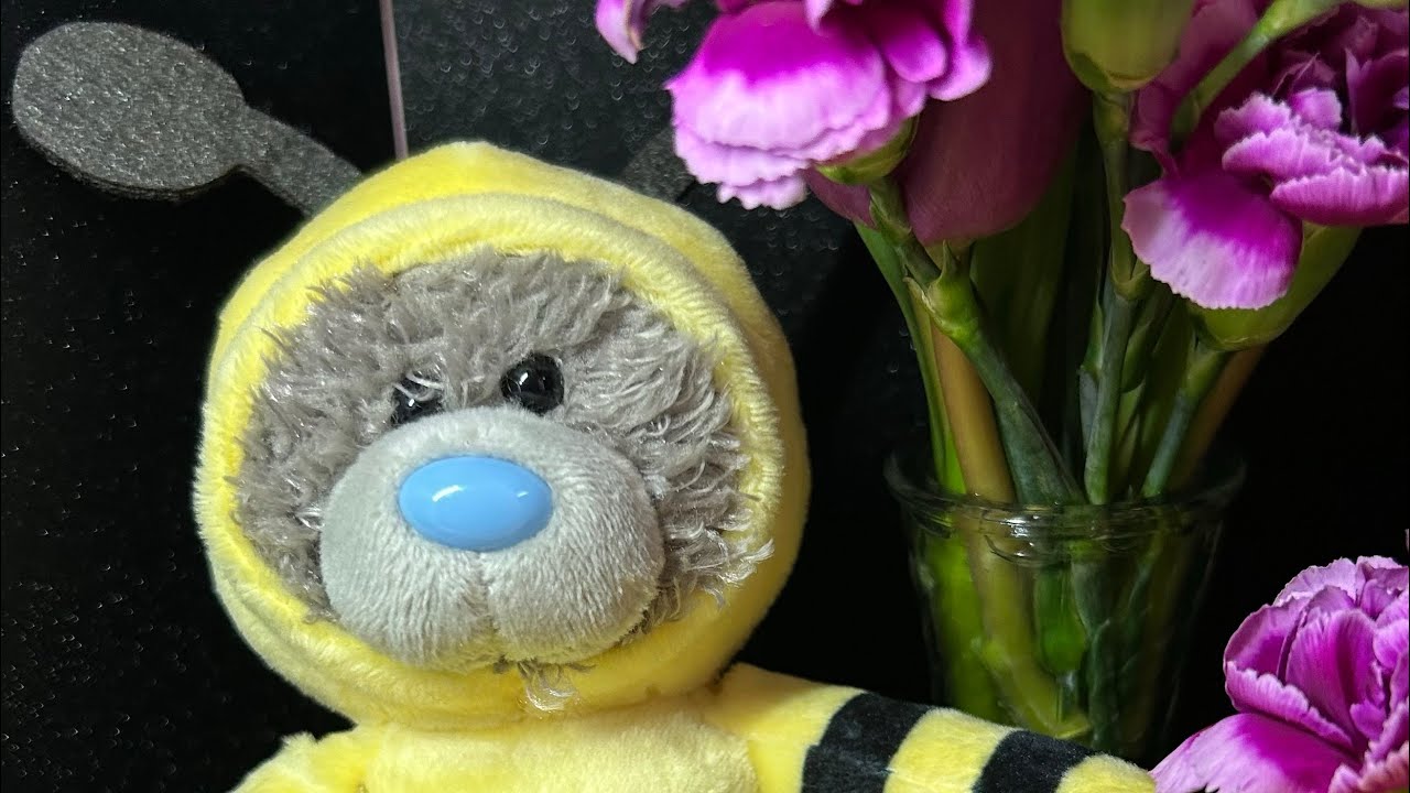 Margaret,Mittens & Tango is live Silent 26/02/2026